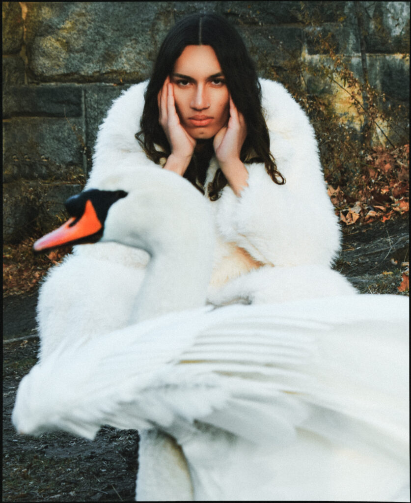 swan-waltz-dani-viafara-par-elys-berroteran-02