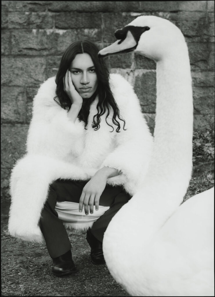 swan-waltz-dani-viafara-par-elys-berroteran-03