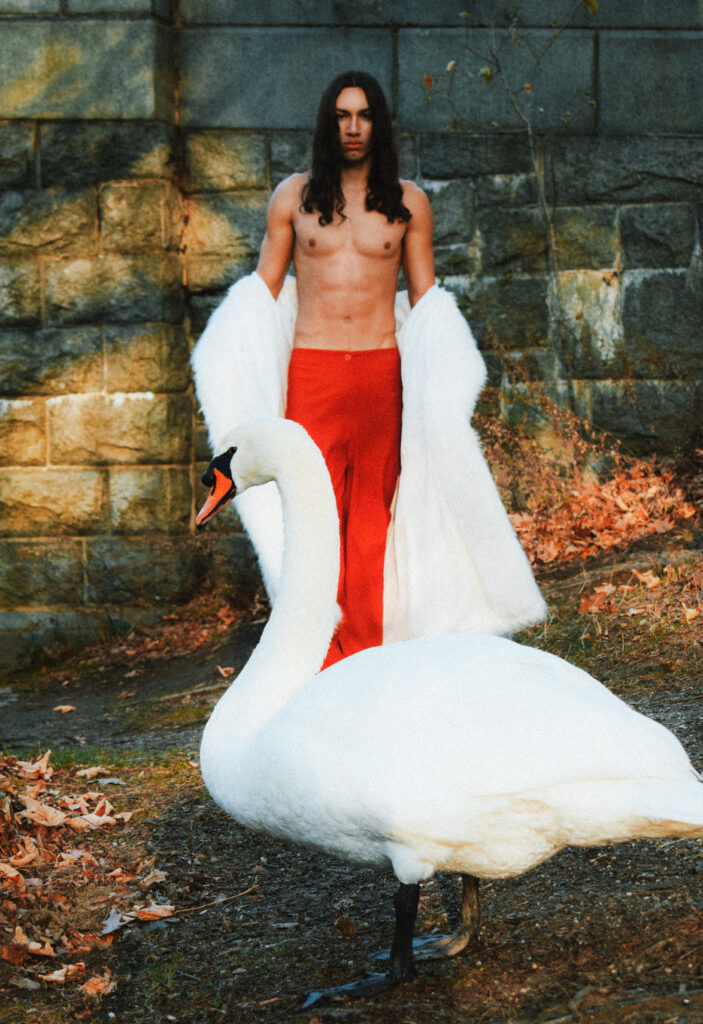 swan-waltz-dani-viafara-par-elys-berroteran-14