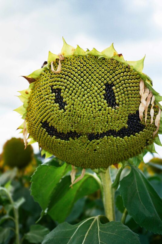 Saint-Laurent-Rive-Droite-invite-Jonathan-LLense-pour-l-été-Salut-les-Garçons-magazine-Paris-credit-jonathan-llense-Saint-Laurent-1