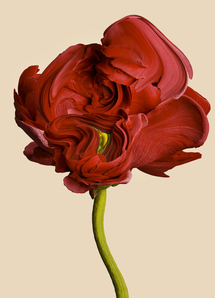 Saint-Laurent-explore-la-flore-future-de-Vincent-Fournier-exposition-Salut-les-Garçons-magazine-credit-Vincent-Fournier-Saint-Laurent-Rive-Droite-Paris-4