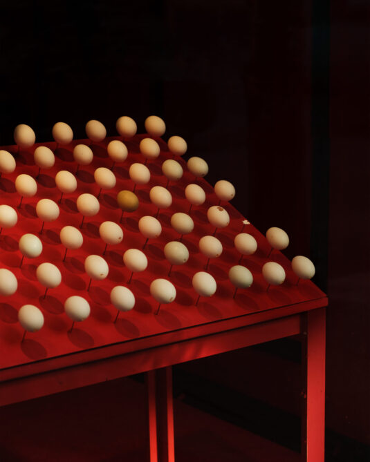 Objets de table et créations artisanales Gohar World exposés dans la boutique rouge de Manhattan, entre art, design et tradition - 14