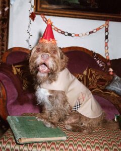 Burberry-Festive-2025-Campaign-Stills51