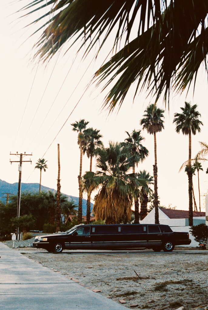 Black stretch limousine parked on a suburban street, with tall palm trees and distant mountains in the background.