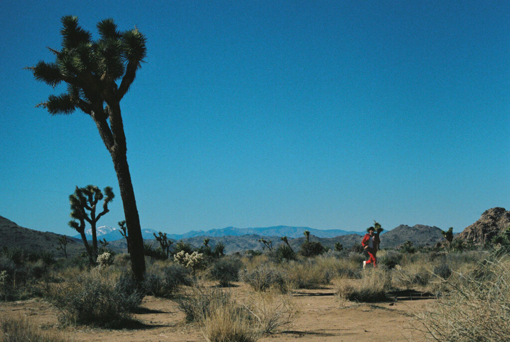 Desert landscape with tall Joshua trees, dry scrub, and Joseph Reuben in red walking a small white dog under a clear blue sky.